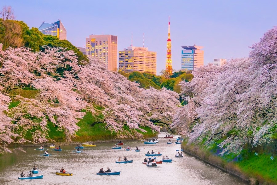 Công viên Ueno là một trong những công viên công cộng lớn và lâu đời nhất Tokyo