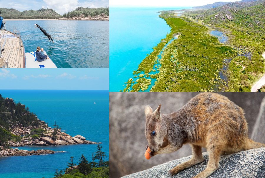 Đảo Magnetic mang vẻ đẹp hoang sơ nhưng đầy sức hút của thiên nhiên nhiệt đới