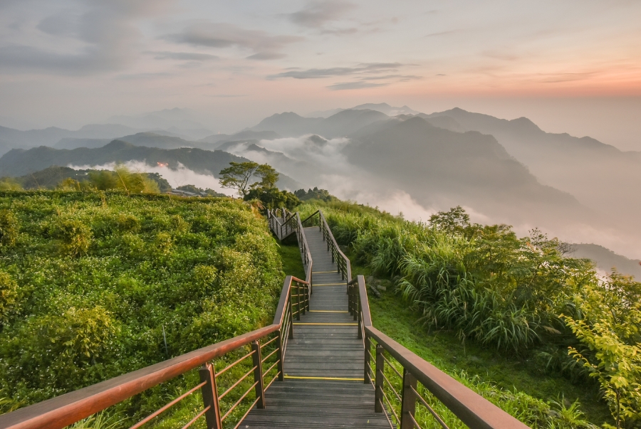 Alishan nằm ở độ cao hơn 2.000 mét được bao phủ bởi lớp sương mù và rừng tùng xanh mướt