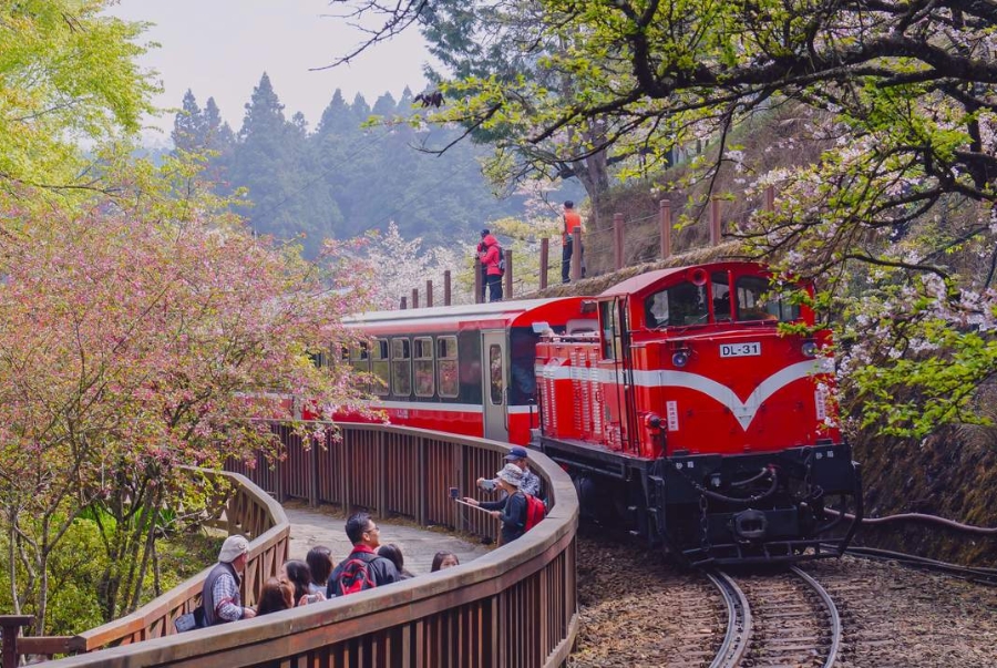 Chuyến tàu cổ Alishan trải nghiệm khiến nhiều du khách mê mẩn