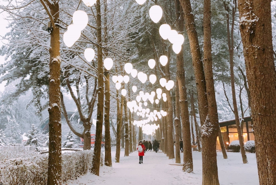 Tản bộ trên trên những con đường phủ đầy tuyết trắng là hoạt động yêu thích của nhiều du khách