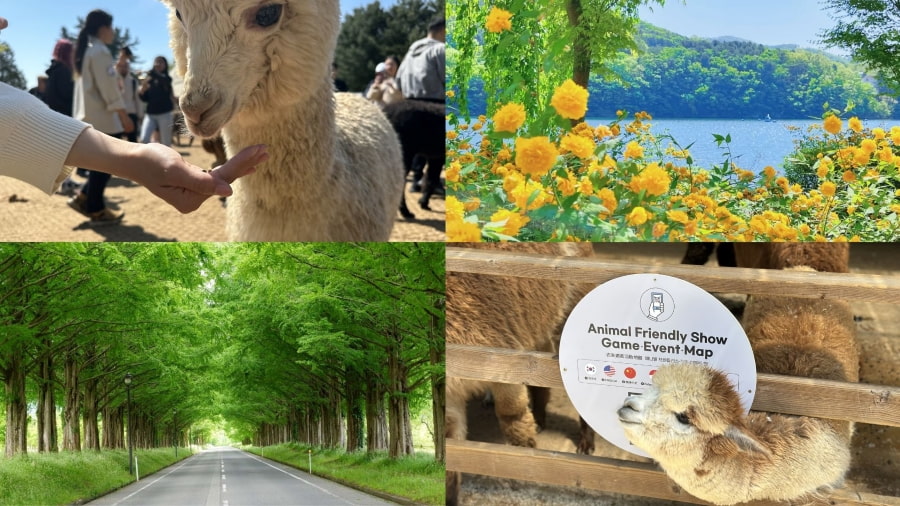 Đảo Nami sở hữu hệ động – thực vật phong phú, thân thiện với môi trường