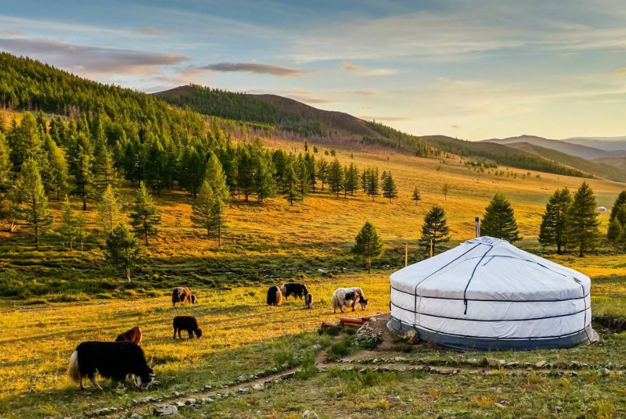 Khentii mang khung cảnh yên bình mà hiếm nơi nào có được