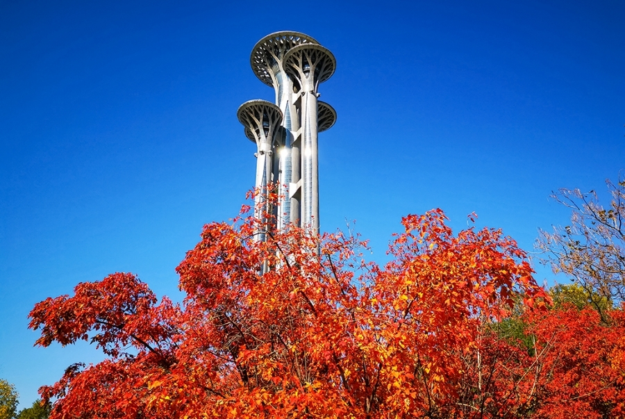 Biểu tượng tháp Olympic nổi bật giữa rừng lá đỏ và sắc thu rực rỡ ở Bắc Kinh