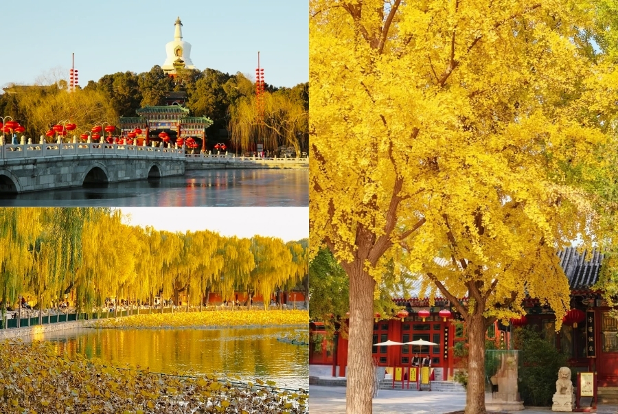 Đến công viên Bắc Hải đừng quên check-in tại cầu Ngọc với hàng liễu rủ lãng mạn