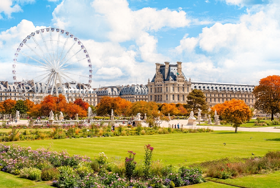 Tuileries mùa thu tỏa sáng với lá vàng xen lẫn không gian xanh thơ mộng