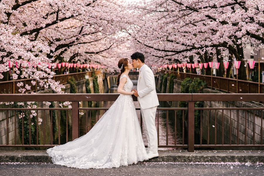 Khung cảnh lãng mạn tại khu vực Sông Meguro 