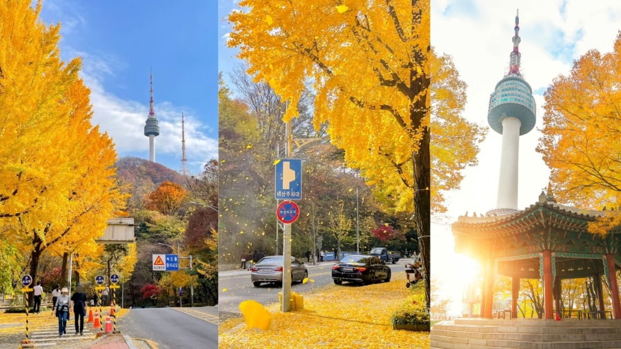 Tháp Namsan (N Seoul Tower) – Ngắm toàn cảnh Seoul mùa thu lãng mạn