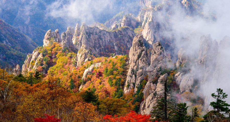 Con đường lá đỏ núi Seoraksan - Khung cảnh hùng vĩ mùa thu
