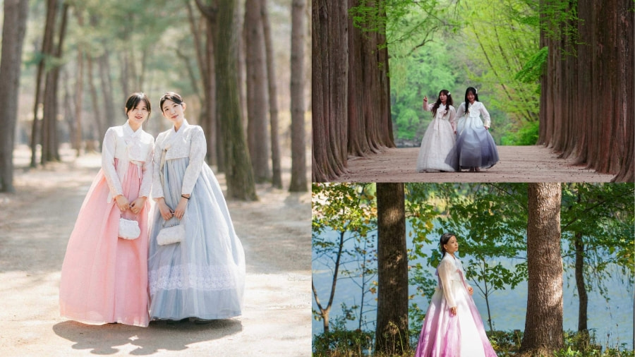 Đảo Nami luôn là điểm đến mơ ước của những tâm hồn yêu thiên nhiên và văn hóa