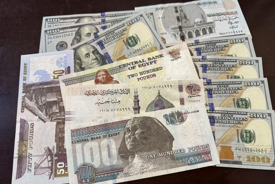 Khách du lịch Ai Cập nên đổi VND sang USD hoặc EUR trước khi xuất cảnh, vì đồng bảng Ai Cập rất khó tìm thấy tại thị trường trong nước