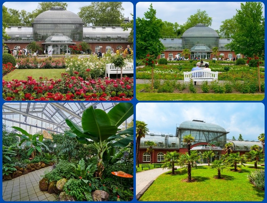 Palmengarten bao gồm các khu nhà kính hiện đại, hồ nước, vườn ngoài trời và tiểu cảnh được thiết kế hài hòa