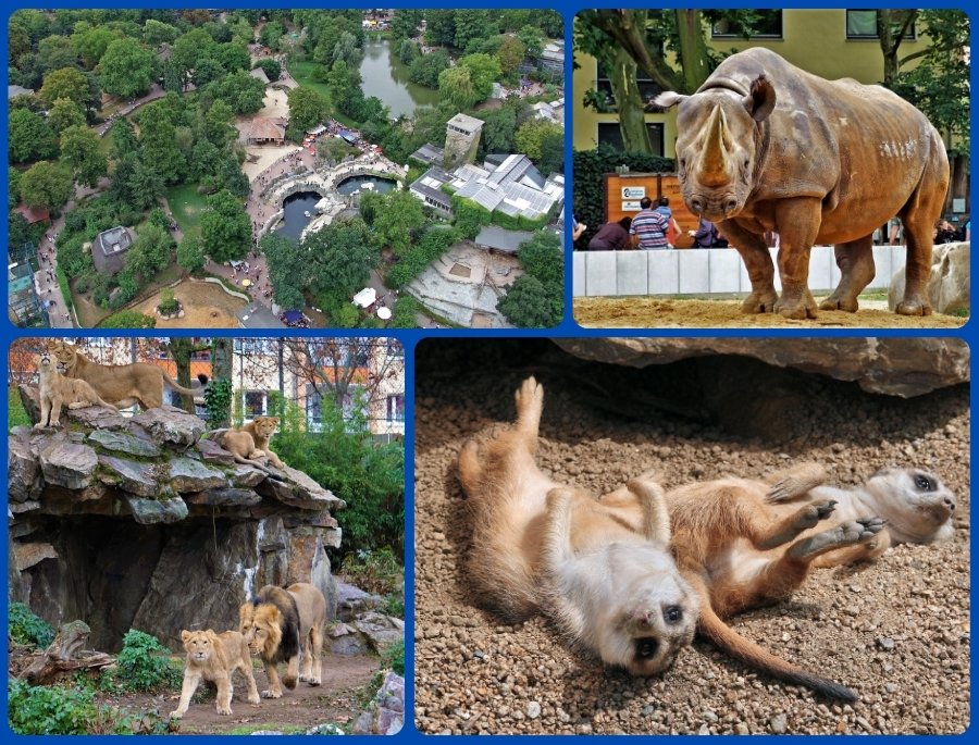  Frankfurt Zoo không chỉ đơn thuần là nơi nuôi dưỡng các loài động vật mà còn là một trung tâm giáo dục về môi trường và bảo tồn sinh học