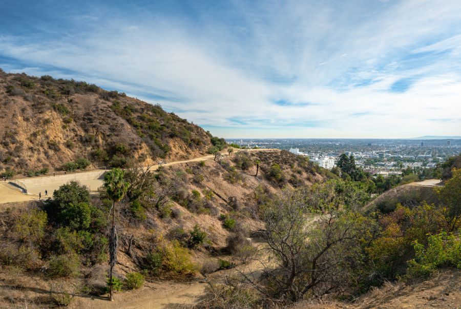 Runyon Canyon Park là công viên tự nhiên rộng lớn nằm ngay trung tâm Hollywood