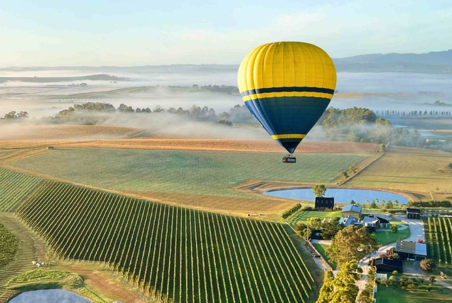 Vẻ đẹp yên bình của Yarra Valley với những cánh đồng nho thẳng tắp bạt ngàn
