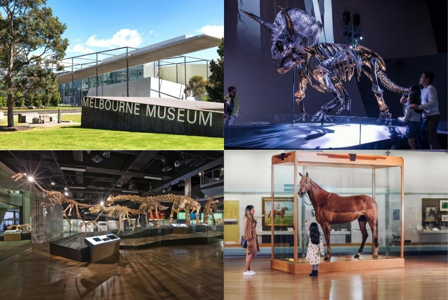 Bộ sưu tập khủng long độc đáo tại Melbourne Museum