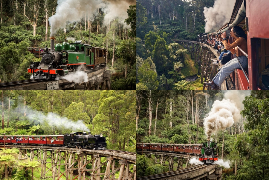 Đi tàu hơi nước Puffing Billy là trải nghiệm rất được yêu thích của nhiều du khách khi đến Dandenong Ranges