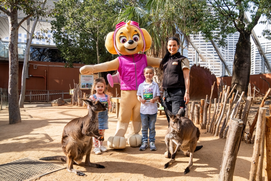 Wildlife Sydney Zoo là công viên động vật hoang dã nằm trong khu vực Darling Harbour