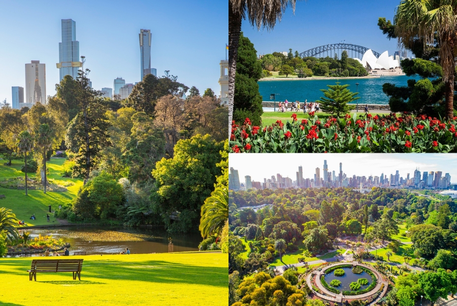 Royal Botanic Gardens được biết là lá phổi xanh của Sydney lưu giữ nhiều loại thực vật quý hiếm