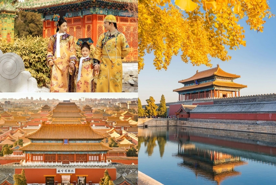 Tử Cấm Thành mùa thu khoác áo vàng rực rỡ đẹp như một bức tranh cổ trang