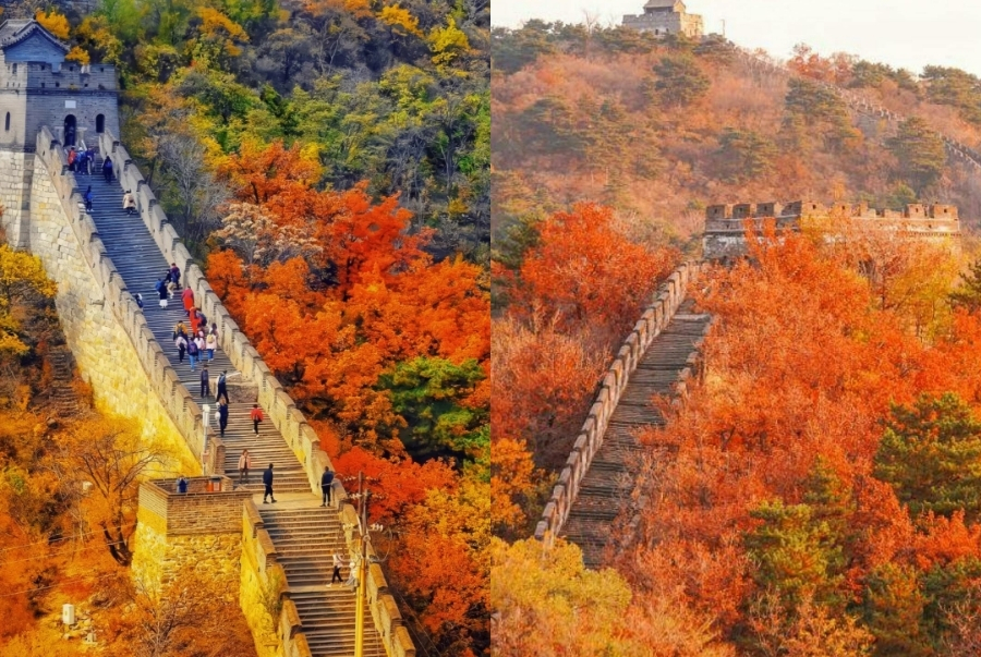 Vạn Lý Trường Thành giữa mùa thu đỏ rực đẹp như bức tranh sống động trải dài bất tận