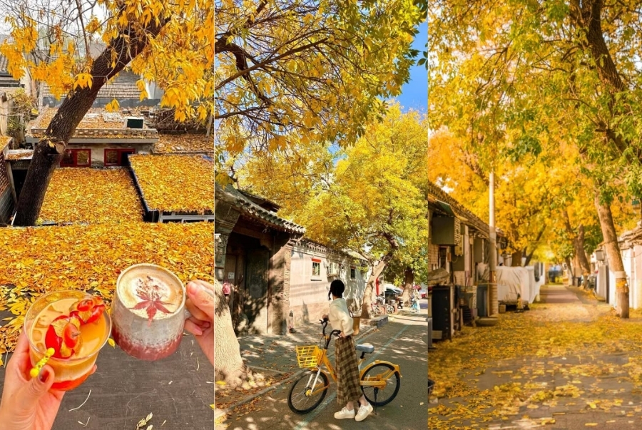 Bạn nên một lần dạo bước giữa Đại Ngũ Tử mùa lá rụng để thưởng thức vẻ đẹp lãng mạn nơi đây