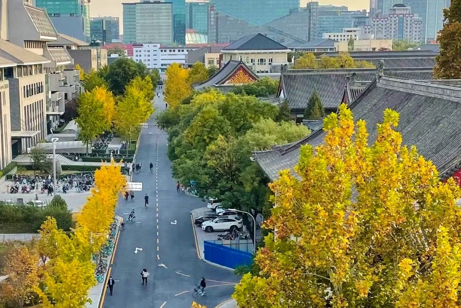 Tản bộ trong khuôn viên Đại học Bắc Kinh vào đầu thu khi lá bắt đầu nhuộm vàng