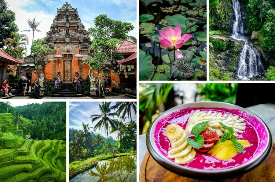 Ubud - Trung tâm văn hóa và tâm linh của Bali với các cánh đồng lúa xanh mướt