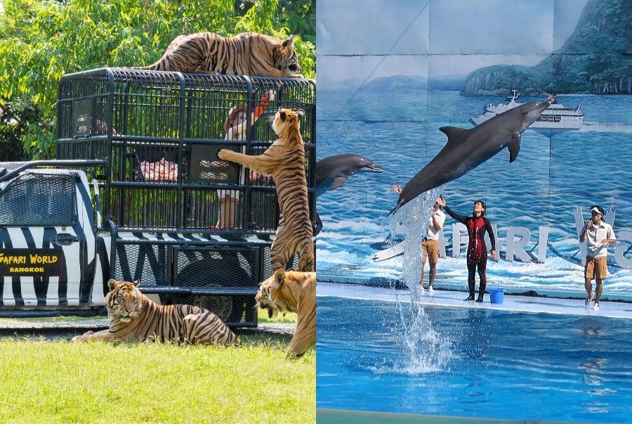 Khu Safari Park và Marine Park tại Safari World Bangkok
