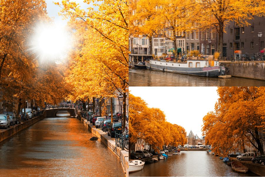 Khung cảnh bình yên tại Amsterdam mùa thu 