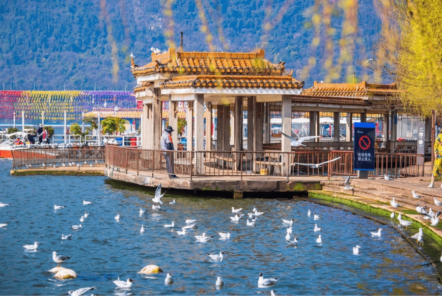 Khung cảnh hữu tình bên hồ Điền Trì với sắc thu vàng rực in bóng trên làn nước trong vắt