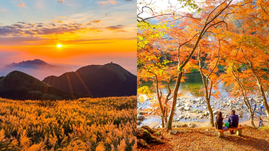 Vườn Quốc gia Yangmingshan – Sắc thu gần Đài Bắc