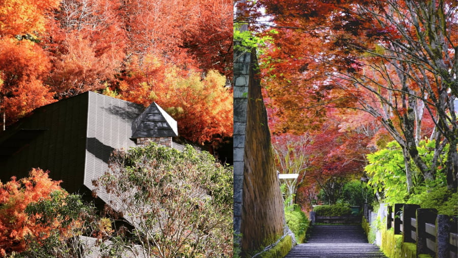 Tháng 9 là thời điểm chuyển giao từ mùa hè nóng ẩm sang thu