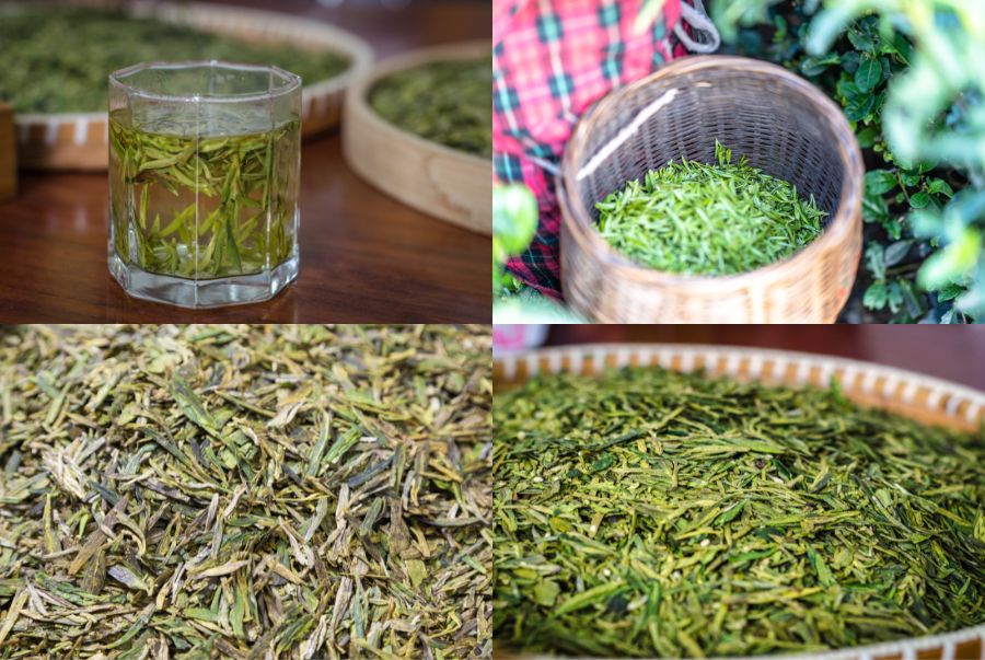 Trà Long Tỉnh sở hữu hương thơm dịu nhẹ, khiến ai cũng muốn được một lần thưởng thức