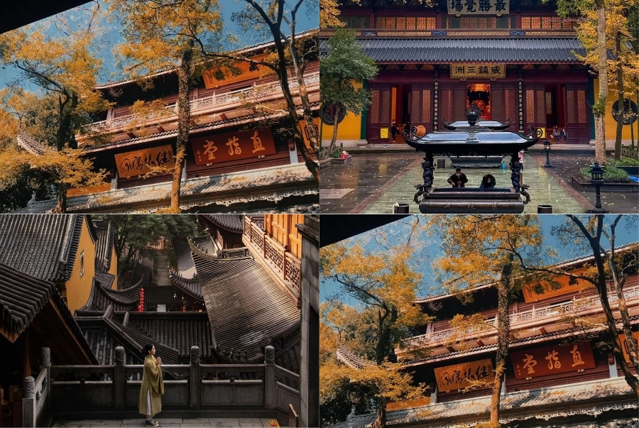 Mùa thu phủ vàng lên mái ngói cổ kính của Chùa Linh Ẩn giữa không gian tĩnh lặng