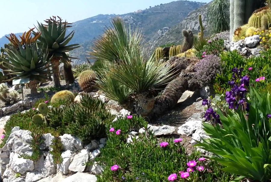 Princess Antoinette là nơi lý tưởng để thư giãn và tận hưởng không khí trong lành