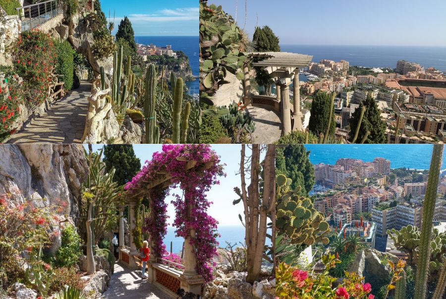 Vườn Exotique là một trong những điểm đến hấp dẫn nhất dành cho du khách yêu thiên nhiên