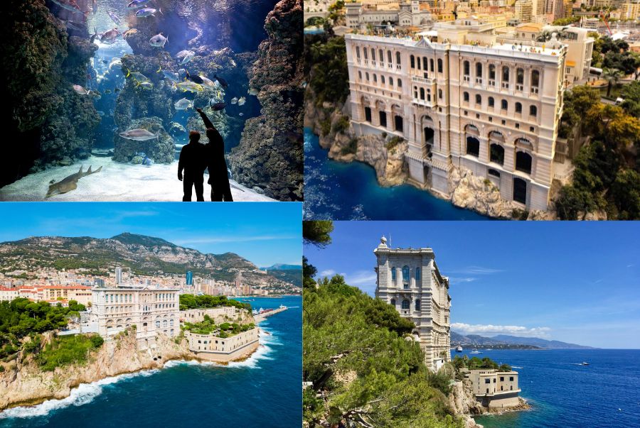 Bảo tàng Hải dương học là một trong những công trình biểu tượng của Monaco
