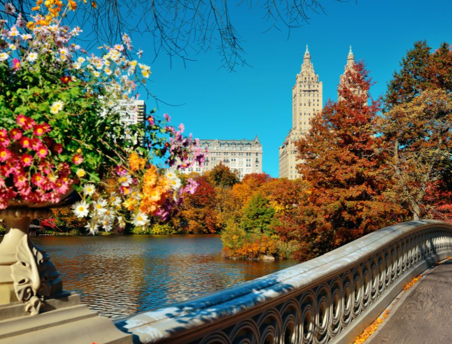 Central Park – Nơi được mệnh danh là trái tim thu vàng của New York