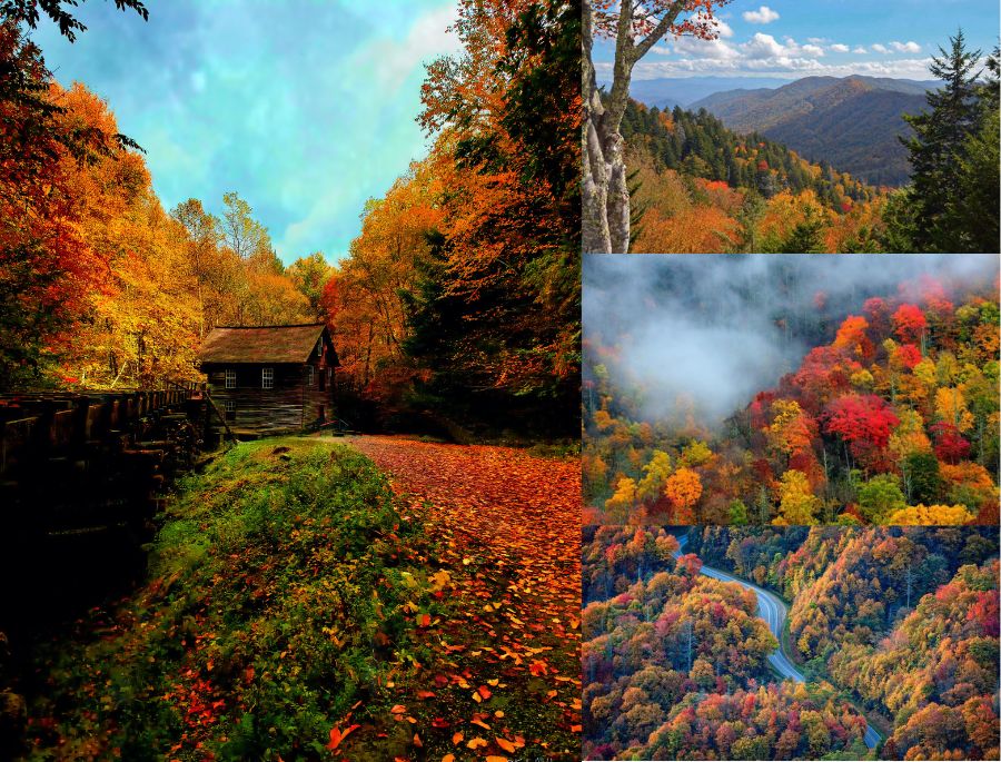 Great Smoky Mountains là một trong những nơi có mùa thu dài và đẹp nhất nước Mỹ