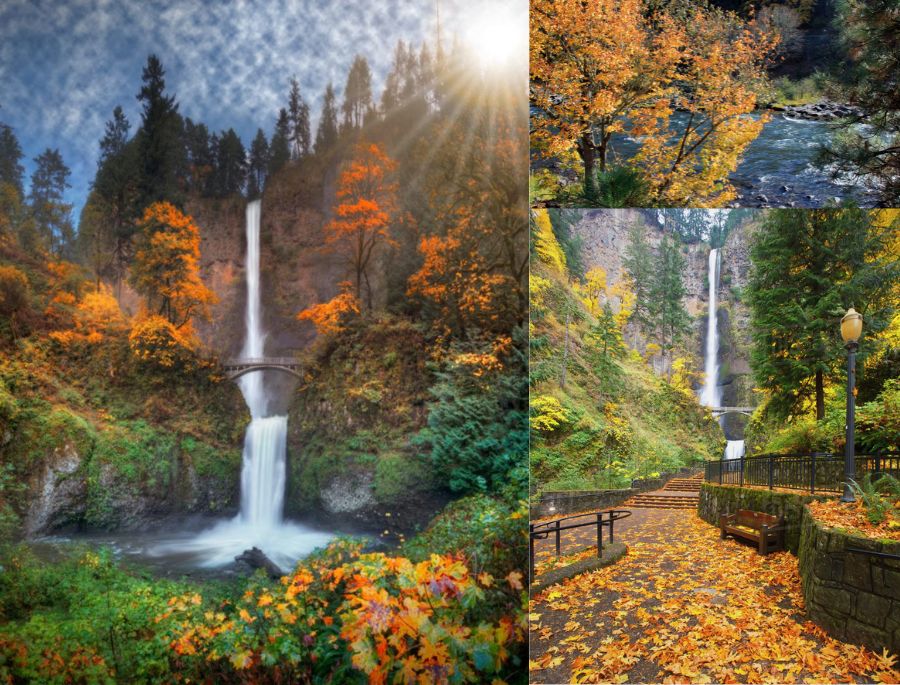 Columbia River Gorge là một kiệt tác thiên nhiên với sông, thác nước và rừng rậm nguyên sinh