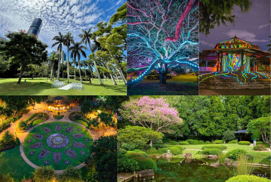 Brisbane City Botanic Gardens là vườn thực vật cổ nhất của thành phố