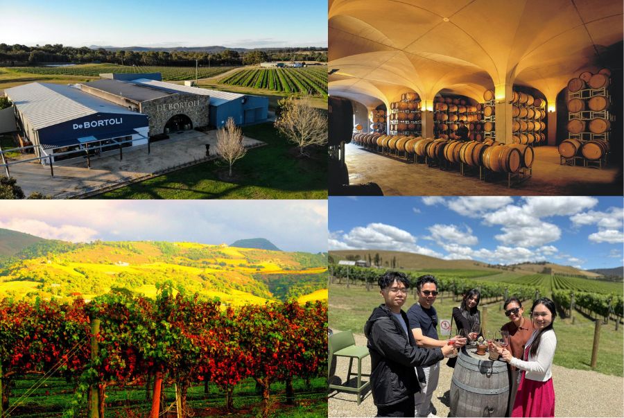 Thung lũng Yarra Valley gây ấn tượng với những vườn nho xanh mướt trải dài theo triền đồi và các hoạt động hấp dẫn