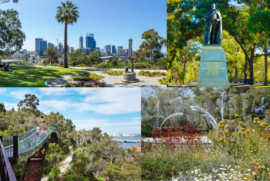 Bạn có thể dành thời gian tản bộ trên những con đường mòn uốn lượn tại Kings Park and Botanic Garden