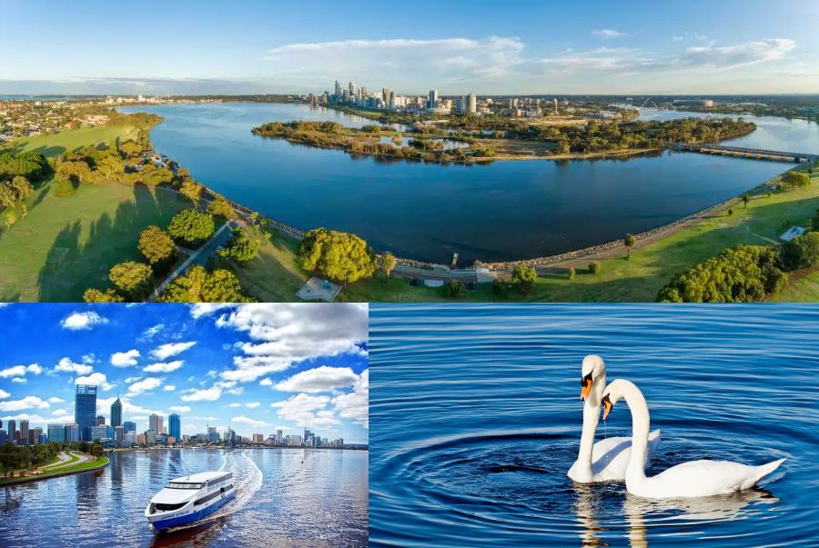 Sông Swan là một trong những biểu tượng nổi bật của thành phố Perth, thủ phủ của tiểu bang Tây Úc