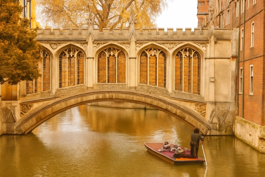 Cầu Hertford cùng với dòng sông yên ả trong cảnh sắc mùa thu