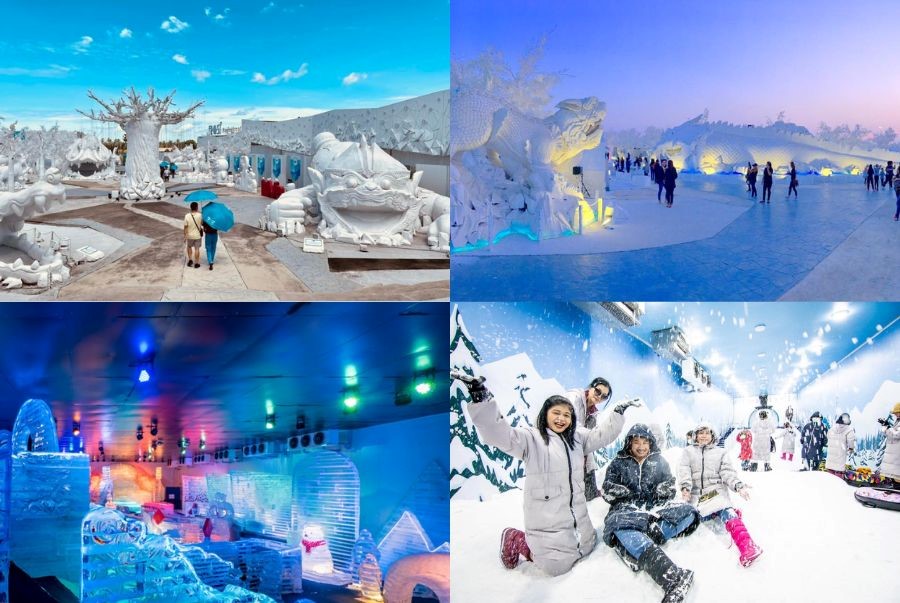 Frost Magical Ice of Siam mang đến nhiều hoạt động thú vị cho cả gia đình