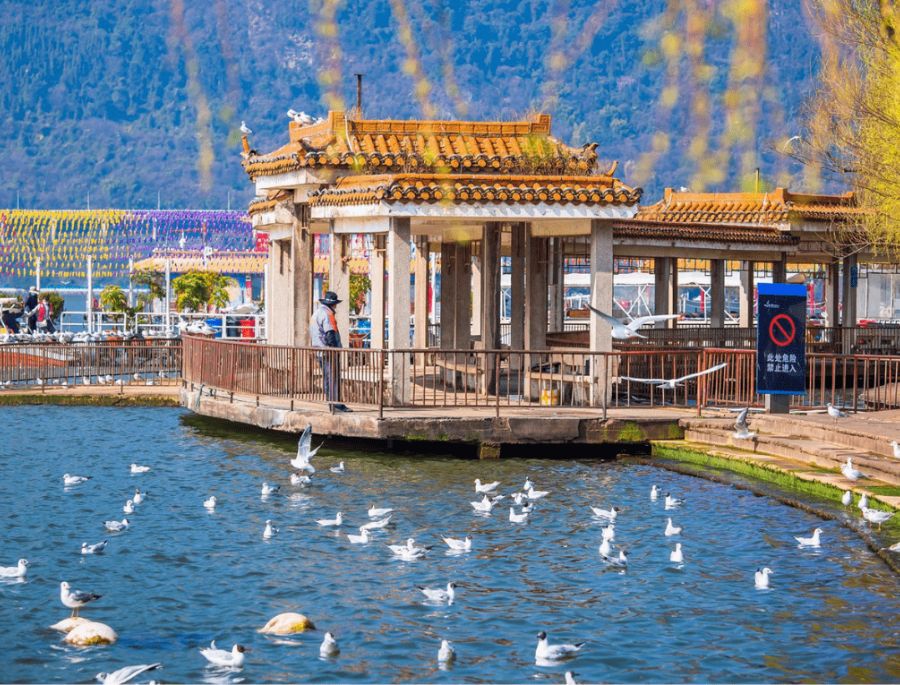 Vẻ đẹp bình yên của Hồ Điền Trì