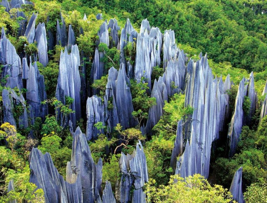 Khung cảnh Rừng Đá Thạch Lâm nhìn từ trên cao