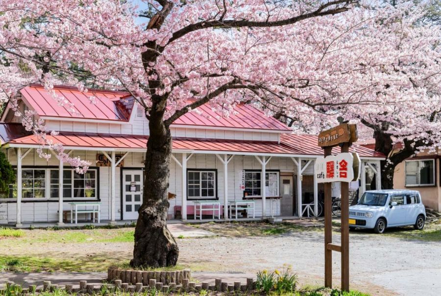 Vẻ đẹp bình yên tại Công viên Ashino